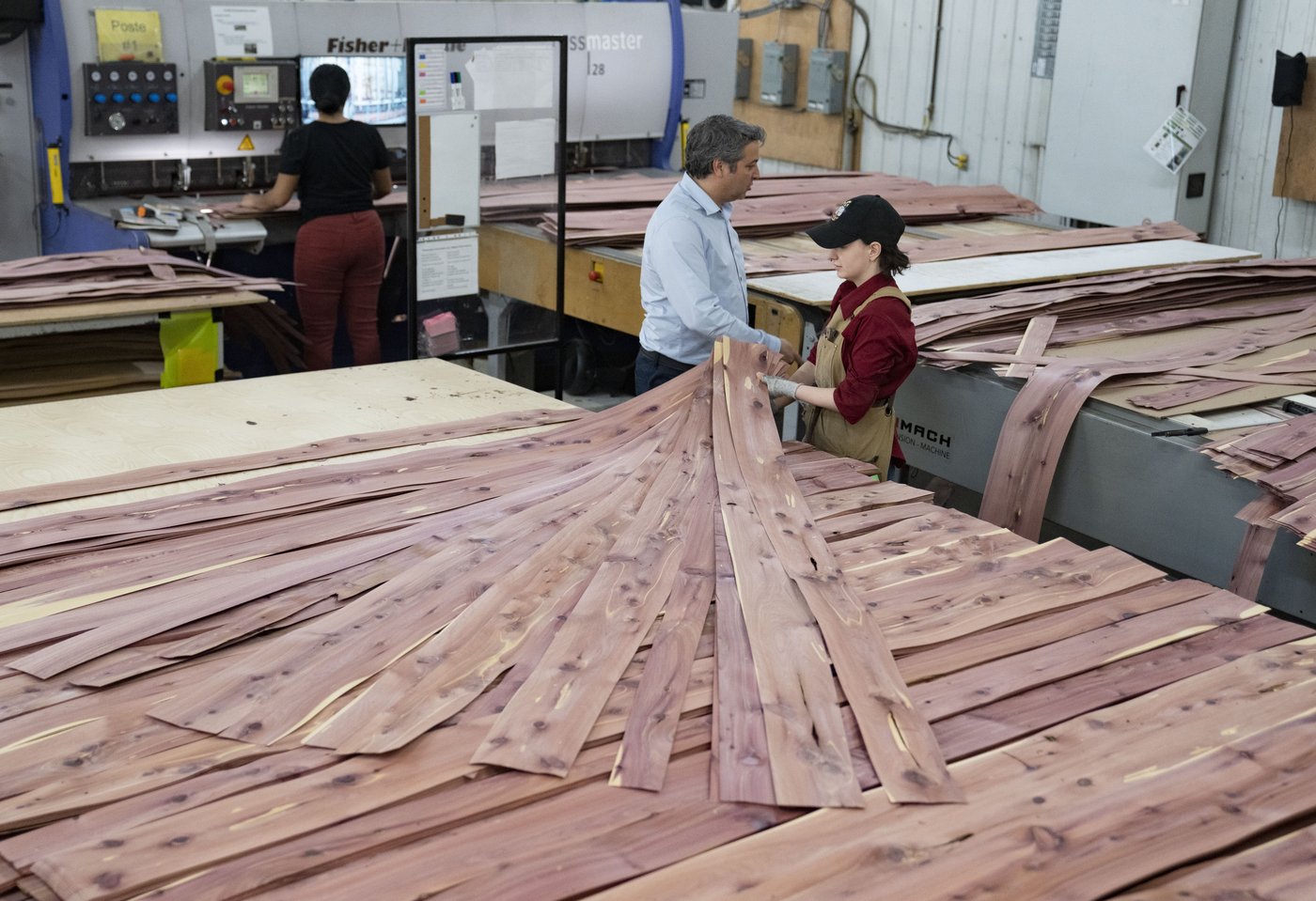 CBSA launches probe into possible dumping of Chinese plywood | iNFOnews.ca