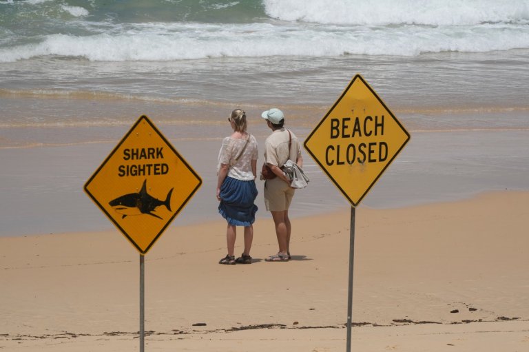 Surfer bitten in 4th shark attack off Australia's east coast in 3 days | iNFOnews.ca