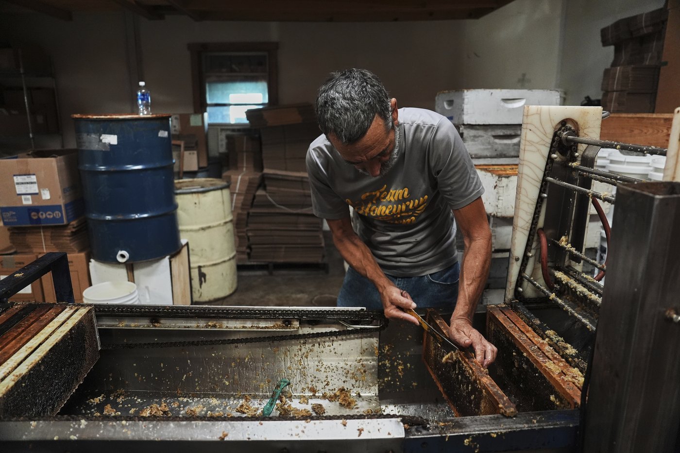 Bees have some ways to cope with a warming Earth, but researchers fear for their future | iNFOnews.ca Bees have some ways to cope with a warming Earth, but researchers fear for their future | iNFOnews.ca