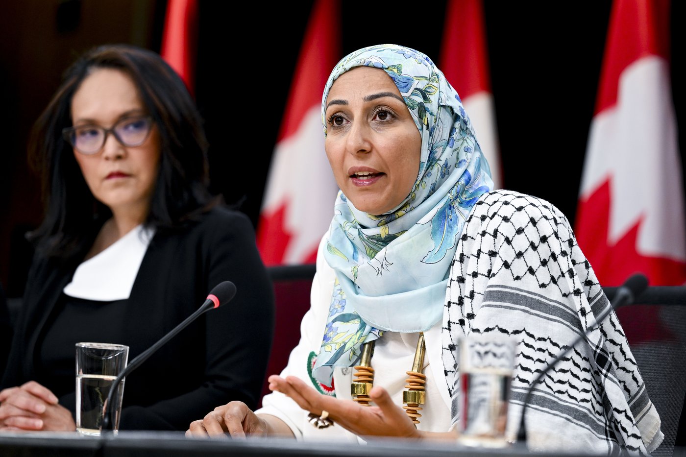 Activists call on feds to put pressure on Israel over treatment of Gaza aid flotilla