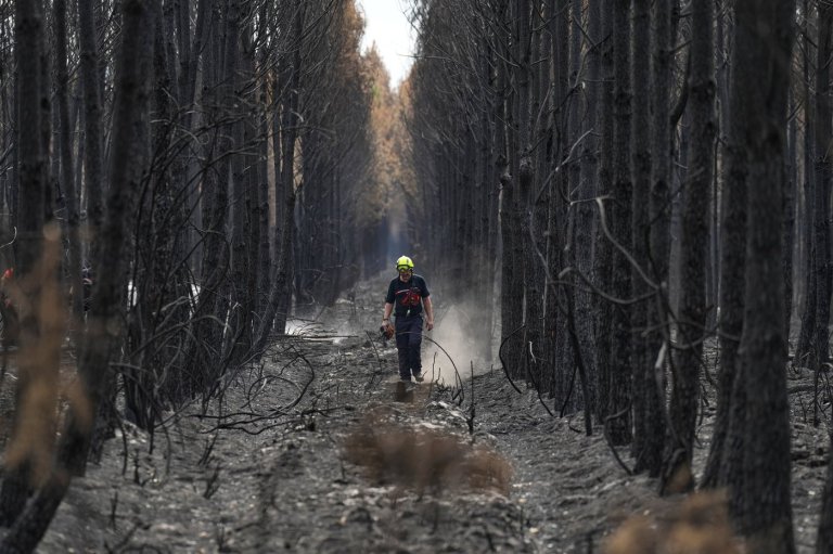 French wildfire near Bordeaux contained as 1,500 firefighters battle separate blaze in Provence | iNFOnews.ca