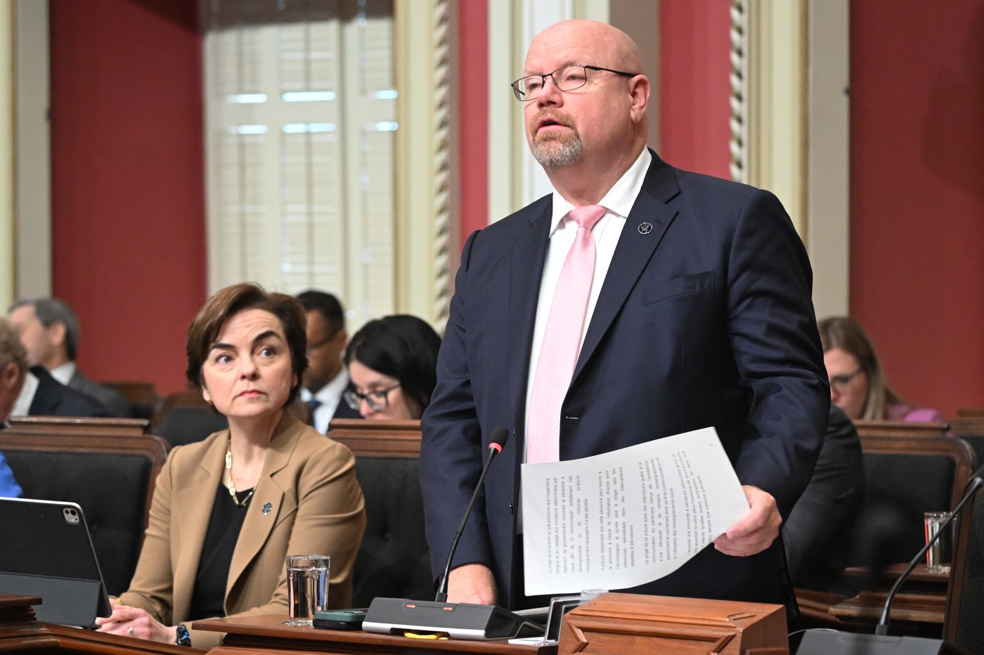 Quebec tables bill allowing people to obtain domestic violence history of partners | iNFOnews.ca