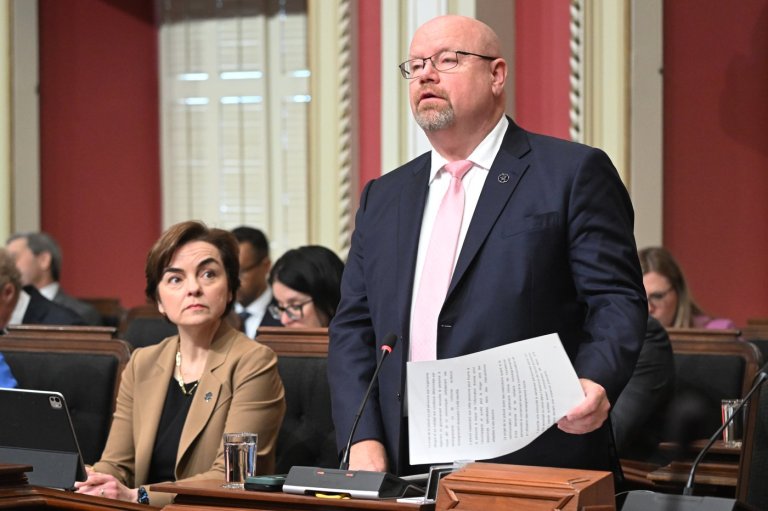 Quebec tables bill allowing people to obtain domestic violence history of partners | iNFOnews.ca