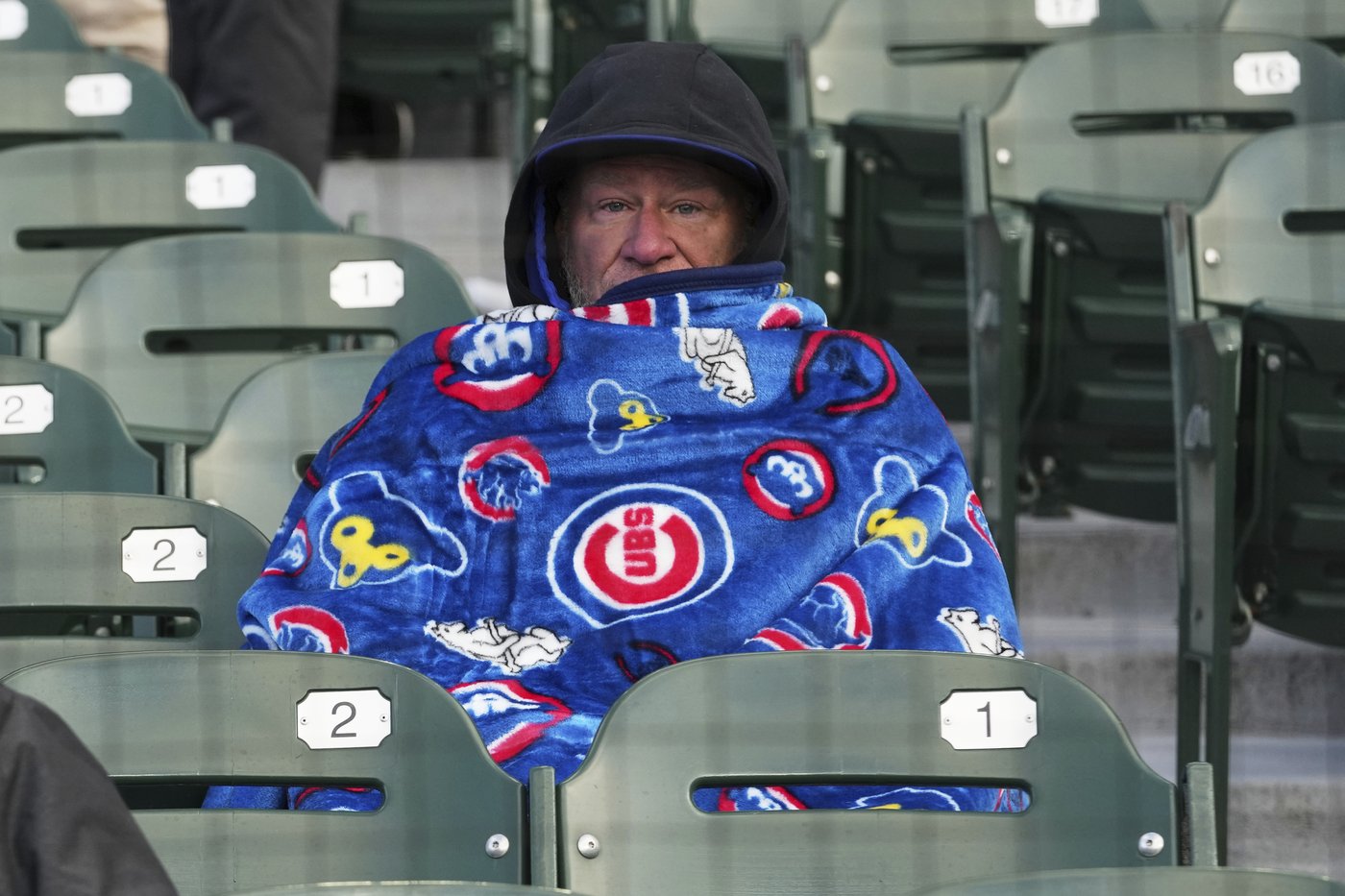 Steele tosses 7 innings as the Cubs pound the Rangers 7-0 on frigid night | iNFOnews.ca