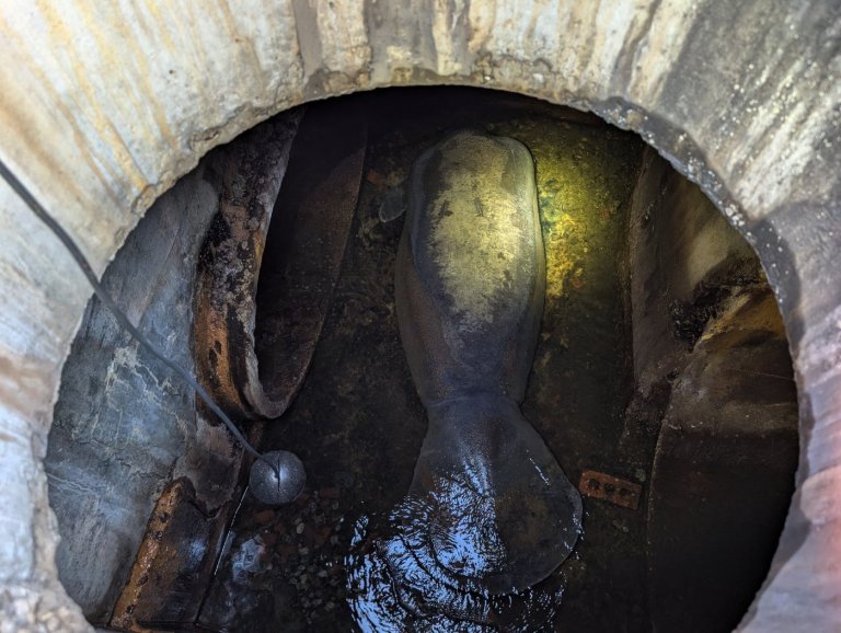 A 410-pound manatee rescued from a Florida storm drain is now recovering at SeaWorld Orlando | iNFOnews.ca
