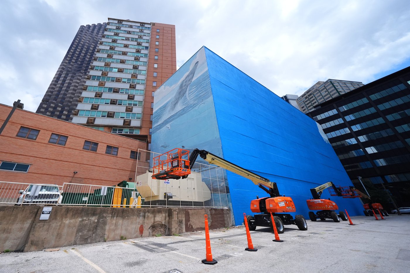 Artist suing FIFA over destruction of Dallas whale mural before World Cup | iNFOnews.ca Artist suing FIFA over destruction of Dallas whale mural before World Cup | iNFOnews.ca