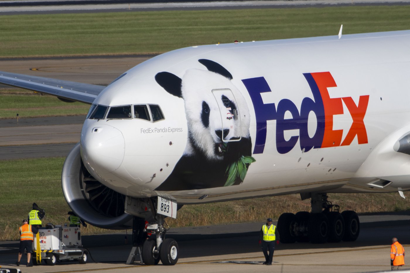 Pandas arrive at National Zoo, but won't be ready for public debut until January | iNFOnews.ca
