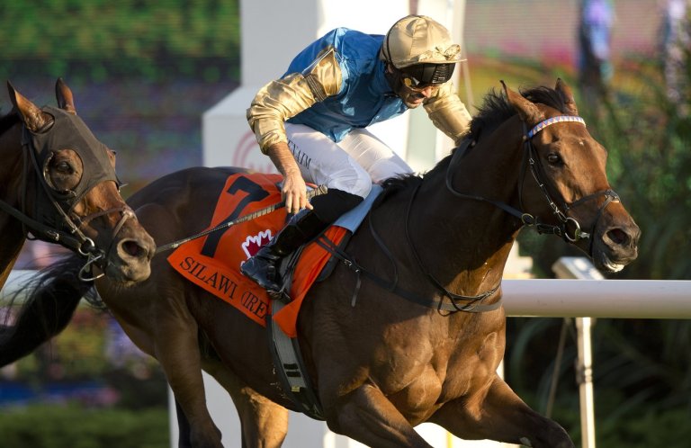 Irish-bred Silawi wins $750,000 Canadian International by a nose at Woodbine | iNFOnews.ca