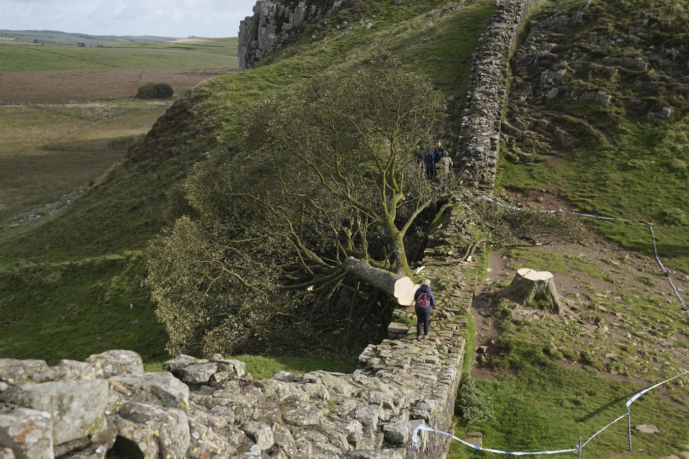 They cut down England’s beloved Sycamore Gap tree. Now they face over 4 years in prison | iNFOnews.ca They cut down England’s beloved Sycamore Gap tree. Now they face over 4 years in prison | iNFOnews.ca