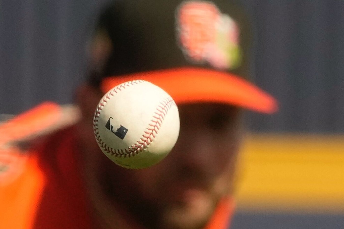 Photos from Major League Baseball spring training | iNFOnews.ca