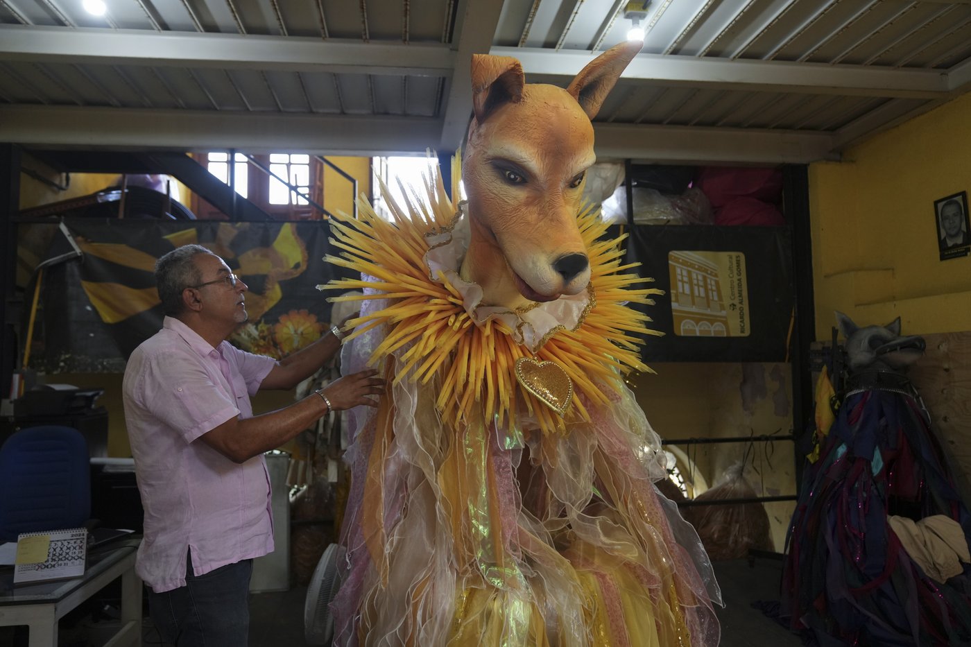 These Brazilian caramel-colored stray dogs were long overlooked. Now, they're having a major moment | iNFOnews.ca