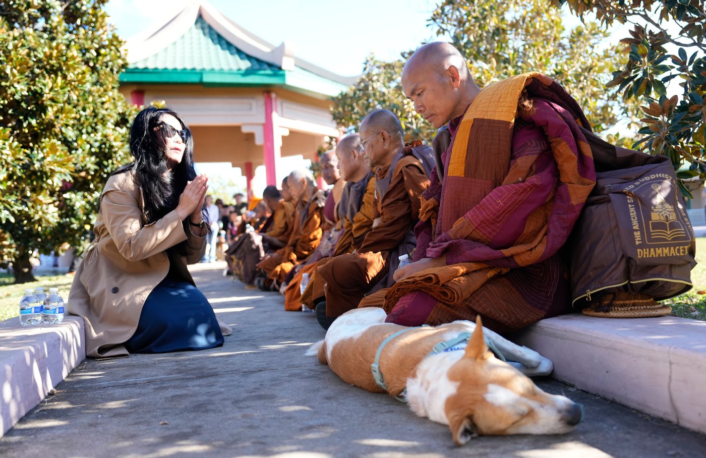 Buddhist monks resume 2,300-mile walk for peace after accident near Houston | iNFOnews.ca Buddhist monks resume 2,300-mile walk for peace after accident near Houston | iNFOnews.ca