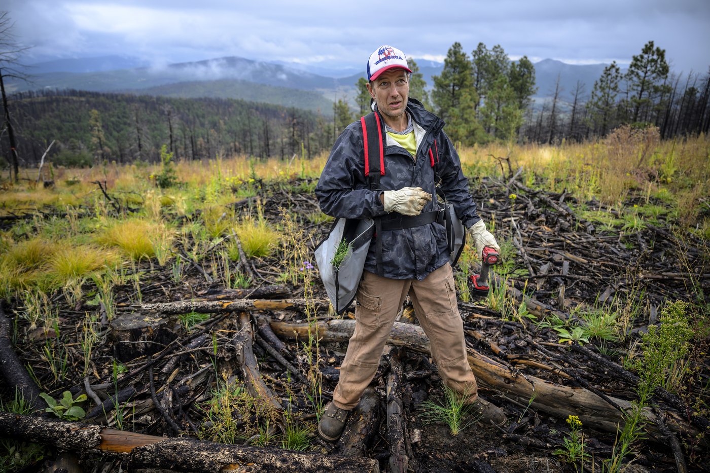 Volunteers help seedlings take root as New Mexico attempts to recover from historic wildfire | iNFOnews.ca Volunteers help seedlings take root as New Mexico attempts to recover from historic wildfire | iNFOnews.ca
