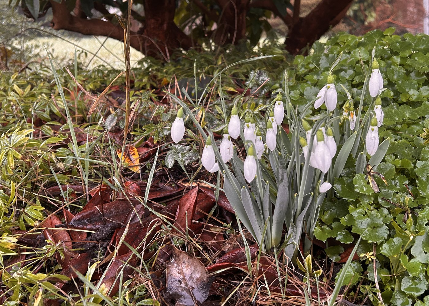 19 degrees in Bella Bella: B.C.'s warm February rewrites weather records | iNFOnews.ca