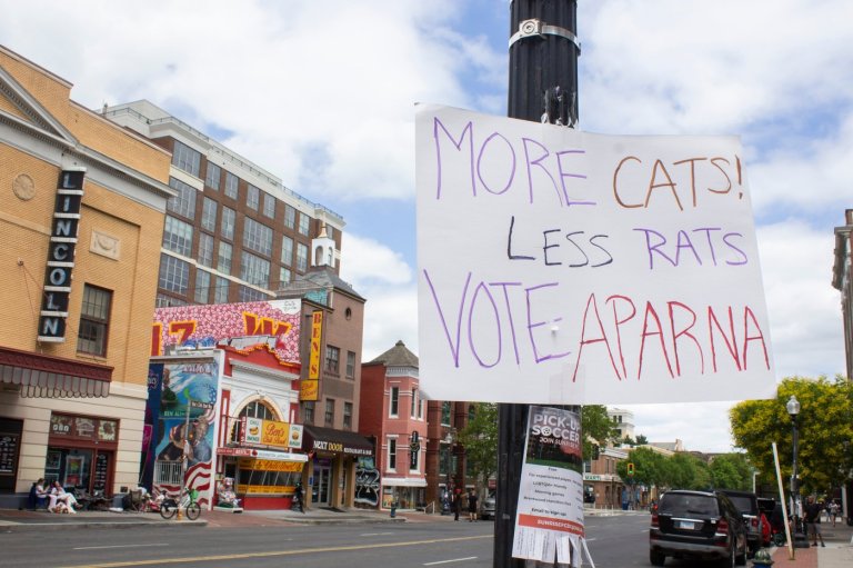 AP Decision Notes: What to expect in the Washington, DC, primary | iNFOnews.ca