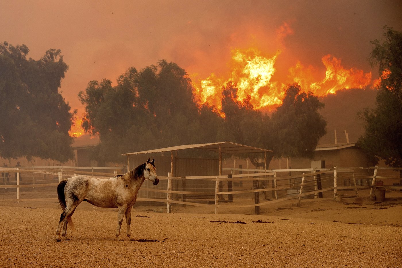 Southern California wildfire destroys 132 structures as officials look for fierce winds to subside | iNFOnews.ca