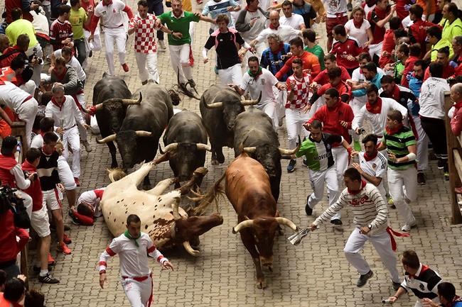 Spain: 9 injured, no one gored in final Pamplona bull run | iNFOnews.ca Spain: 9 injured, no one gored in final Pamplona bull run | iNFOnews.ca