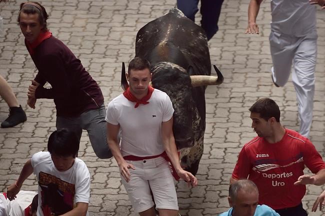 Spain: 5 injured, no gorings in fast 6th Pamplona bull run | iNFOnews.ca Spain: 5 injured, no gorings in fast 6th Pamplona bull run | iNFOnews.ca