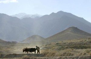 CP504929734