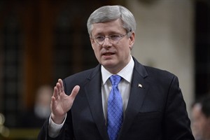 CP31046949