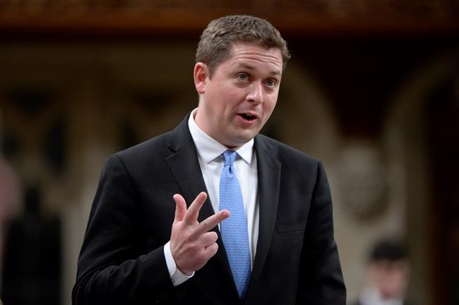 Scheer, Lyme and lumber: how federal politics touched Canadians this week | iNFOnews.ca