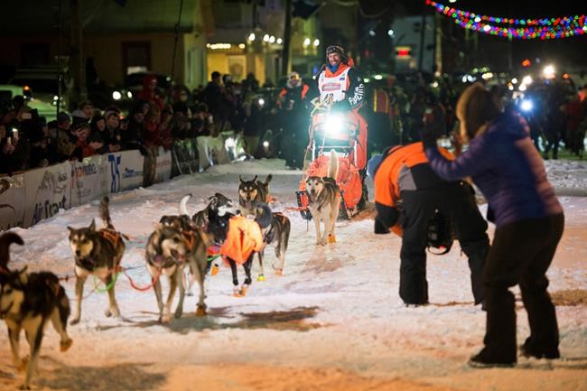 Iditarod preps for any scenario as 2021 race plans proceed | iNFOnews.ca Iditarod preps for any scenario as 2021 race plans proceed | iNFOnews.ca