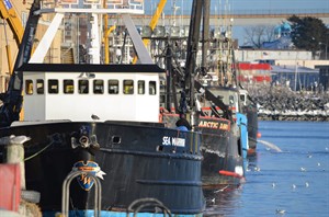 Alaska fishery featured in 'Deadliest Catch' finally begins after being stymied by shutdown | iNFOnews.ca CP25546233