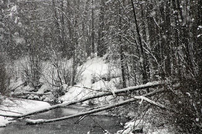 Record snowfall buries Anchorage | iNFOnews.ca Record snowfall buries Anchorage | iNFOnews.ca