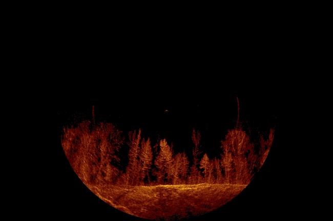Underwater forest hampers search for missing Alabama woman | iNFOnews.ca Underwater forest hampers search for missing Alabama woman | iNFOnews.ca