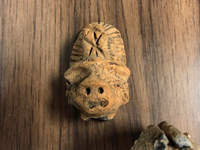 Police seeking owner of briefcase filled with fossils | iNFOnews.ca