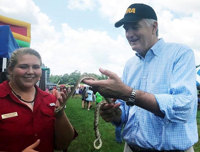 Alabama's US Senate race all about Trump love, swamp hate | iNFOnews.ca Alabama's US Senate race all about Trump love, swamp hate | iNFOnews.ca
