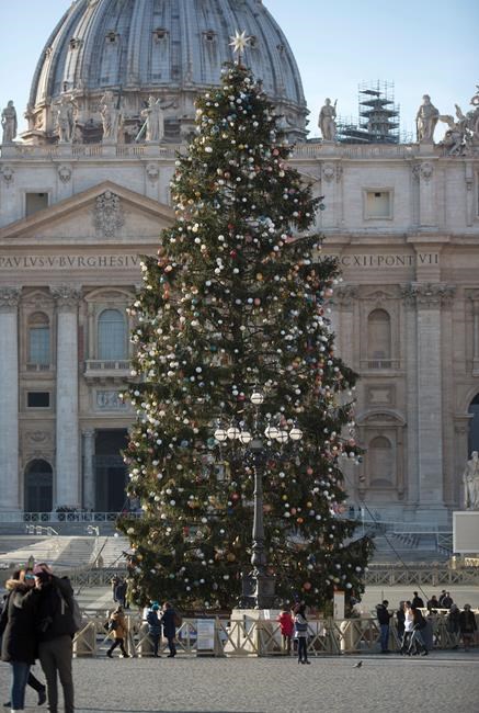 Rome's Christmas tree 'Mangy' needled for heavy shedding | iNFOnews.ca