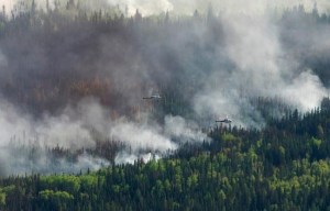 CP240514563