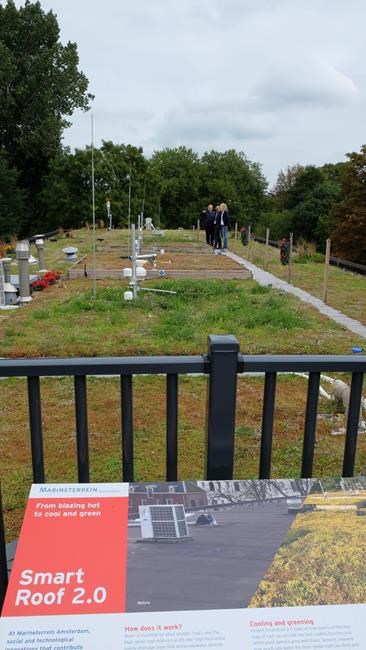Dutch engineer aims high with latest green roof design | iNFOnews.ca
