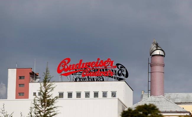 Czech brewer Budvar hits record as people drink more at home | iNFOnews.ca
