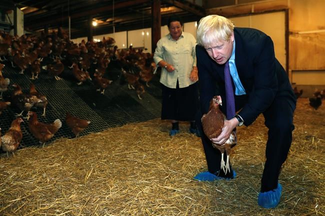 Boris Johnson visits Belfast as Brexit woes hurt UK economy | iNFOnews.ca