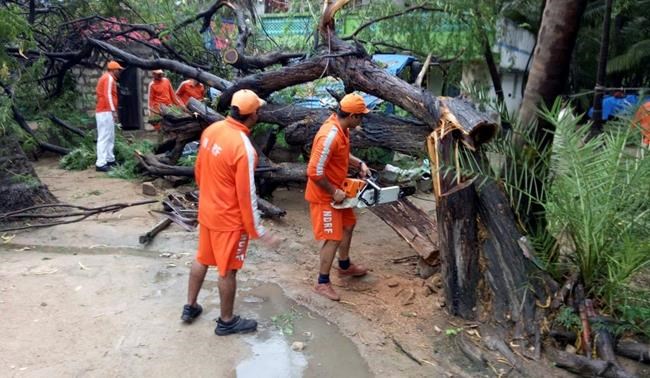The Latest: Cyclone forecast to jog away from Indian coast | iNFOnews.ca The Latest: Cyclone forecast to jog away from Indian coast | iNFOnews.ca