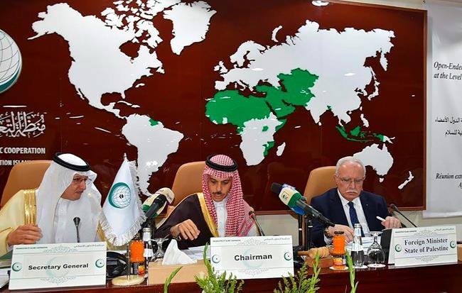 Muslim nations reject Trump's Mideast plan in Saudi meeting | iNFOnews.ca Muslim nations reject Trump's Mideast plan in Saudi meeting | iNFOnews.ca