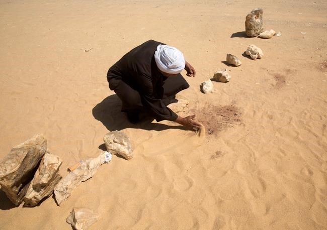 Pope says Egyptian Copts killed by IS were 'martyrs' | iNFOnews.ca
