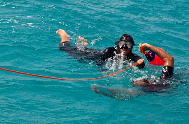 Saudi Arabia's Red Sea divers explore freedoms off the coast | iNFOnews.ca CP396992510