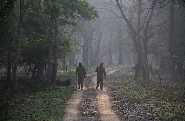 Indian wildlife sanctuary sees jump in one-horned rhinos | iNFOnews.ca