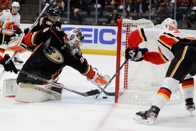 Talbot makes 44 saves, Calgary Flames rout Anaheim Ducks 6-0 | iNFOnews.ca Talbot makes 44 saves, Calgary Flames rout Anaheim Ducks 6-0 | iNFOnews.ca