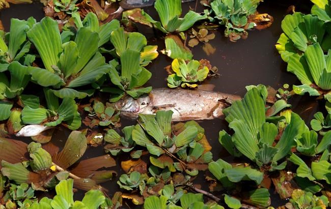 Official says water in Pakistan reservoir is fine | iNFOnews.ca