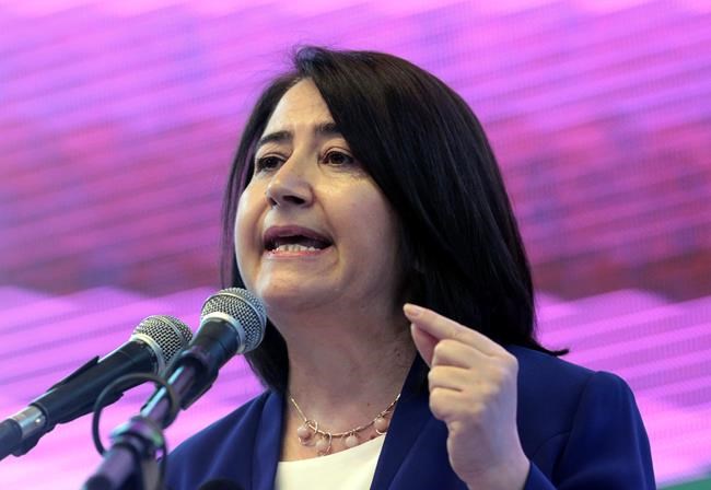 Ex-chair of Turkish party held for opposing Syria offensive | iNFOnews.ca