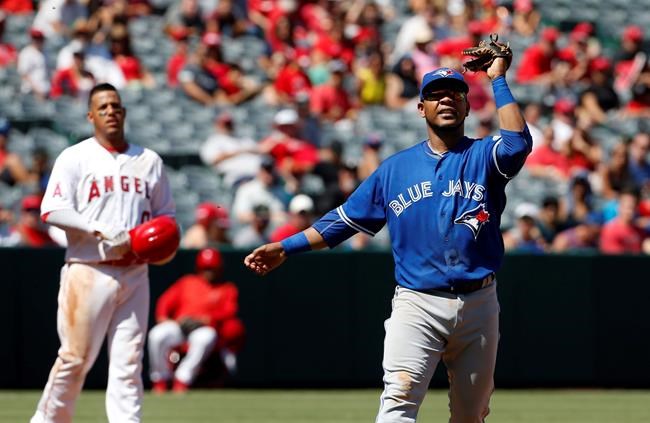 Swings, no stings: Blue Jays-Angels delayed by swarm of bees | iNFOnews.ca Swings, no stings: Blue Jays-Angels delayed by swarm of bees | iNFOnews.ca