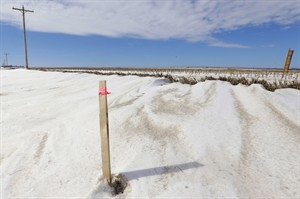 CP23087616