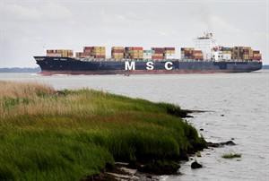 CP20403019