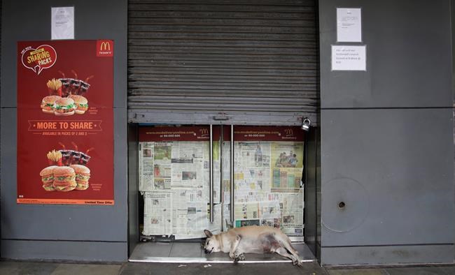 McDonald's to close 169 outlets in India in franchise battle | iNFOnews.ca McDonald's to close 169 outlets in India in franchise battle | iNFOnews.ca