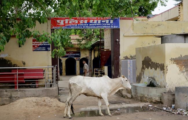 Outrage grows over attacks on Muslim cattle traders in India | iNFOnews.ca Outrage grows over attacks on Muslim cattle traders in India | iNFOnews.ca