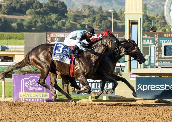 Trainer Richard Mandella wins, loses at Santa Anita | iNFOnews.ca